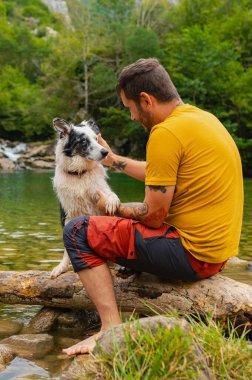 Yürüyüşçü yaz aylarında dağ ormanlarındaki bir nehrin kıyısındaki kütüğün üzerinde otururken ıslak köpeğini okşuyor.