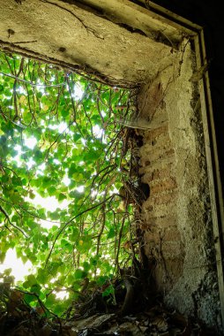 Terk edilmiş bir evin kalıntıları.
