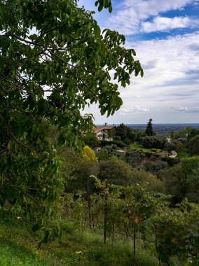 mavi gökyüzü ile tepe manzarası