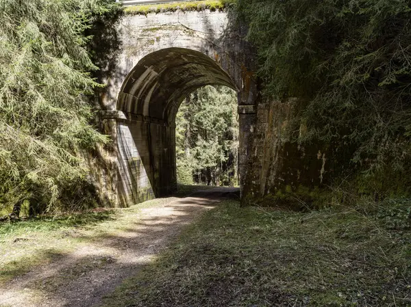 Eski bir taş köprüsü olan bir ormanın içindeki manzara.