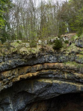 İtalya, Asiago 'daki bir tünelin kayalık girişinin üstündeki dağ ormanlarıyla manzara.