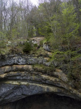 İtalya, Asiago 'daki bir tünelin kayalık girişinin üstündeki dağ ormanlarıyla manzara.