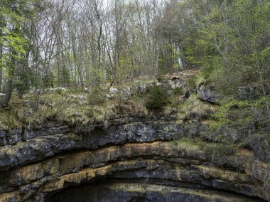İtalya, Asiago 'daki bir tünelin kayalık girişinin üstündeki dağ ormanlarıyla manzara.
