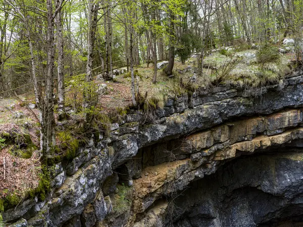 İtalya, Asiago 'daki bir tünelin kayalık girişinin üstündeki dağ ormanlarıyla manzara.