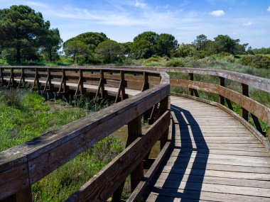 Bir lagünün bitki örtüsünden geçen ahşap bir köprüye yaklaş