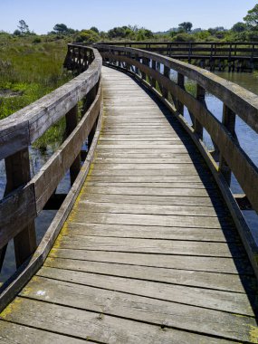 Bir lagünün bitki örtüsünden geçen ahşap bir köprüye yaklaş