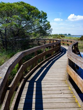 Bir lagünün bitki örtüsünden geçen ahşap bir köprüye yaklaş