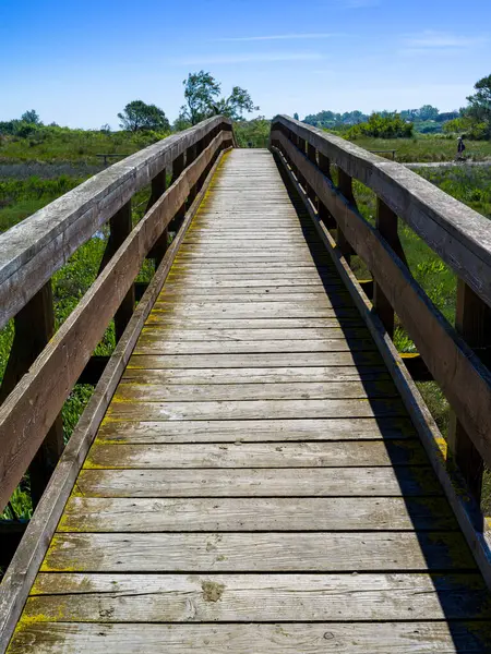 Bitkileri aşmak için tahta köprüsü olan lagün manzarası.