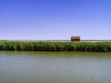 Suyun ortasında harap olmuş eski bir binayla göl manzarası.