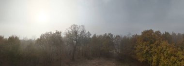 Sonbahar Buğusu Gözlerden uzak bir Orman Korusu 'nun üzerinde asılı. Sonbaharda yaprak döken bir ormanın tüyler ürpertici manzarası ince bir sisle örtülmüş. İnsansız hava aracı panoramik 