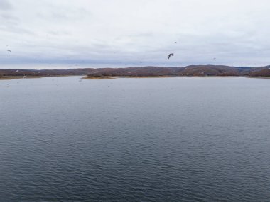 High-angle view of a serene lake with autumnal shoreline. A high-angle, full shot of a tranquil lake, showcasing a serene autumnal landscape. clipart