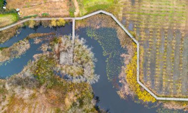 Nehrin havadan görünüşü ve yeşil bitkiler