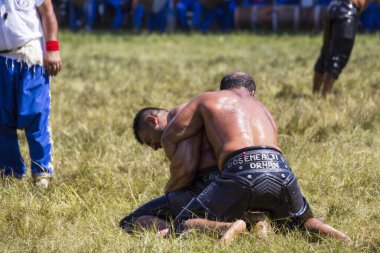 EDIRNE, TURKEY - 14 Temmuz 2018: Türkiye 'de Kırkpınar Türk Yağlı Güreş Festivali' nde orta sıklet güreşçileri zafer için mücadele ediyor. 