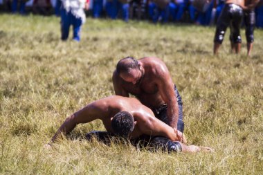 EDIRNE, TURKEY - 14 Temmuz 2018: Türkiye 'de Kırkpınar Türk Yağlı Güreş Festivali' nde orta sıklet güreşçileri zafer için mücadele ediyor. 