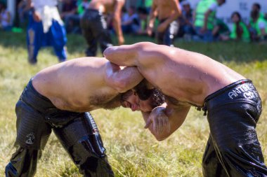 EDIRNE, TURKEY - 14 Temmuz 2018: Türkiye 'de Kırkpınar Türk Yağlı Güreş Festivali' nde orta sıklet güreşçileri zafer için mücadele ediyor. 