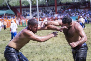 EDIRNE, TURKEY - 14 Temmuz 2018: Türkiye 'de Kırkpınar Türk Yağlı Güreş Festivali' nde orta sıklet güreşçileri zafer için mücadele ediyor. 