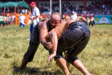 EDIRNE, TURKEY - 14 Temmuz 2018: Türkiye 'de Kırkpınar Türk Yağlı Güreş Festivali' nde orta sıklet güreşçileri zafer için mücadele ediyor. 
