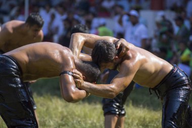 EDIRNE, TURKEY - 14 Temmuz 2018: Türkiye 'de Kırkpınar Türk Yağlı Güreş Festivali' nde orta sıklet güreşçileri zafer için mücadele ediyor. 