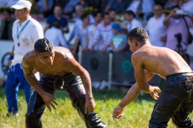 EDIRNE, TURKEY - 14 Temmuz 2018: Türkiye 'de Kırkpınar Türk Yağlı Güreş Festivali' nde orta sıklet güreşçileri zafer için mücadele ediyor. 