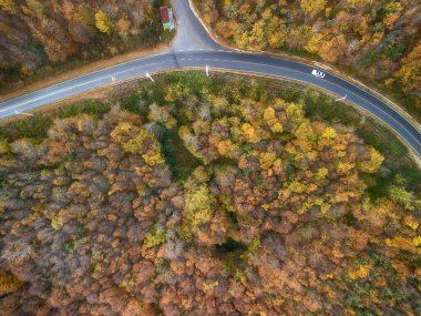 Aerial view of a winding road through a vibrant autumn forest clipart