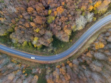 Aerial view of a winding road through a vibrant autumn forest clipart