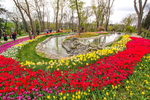 Традиционный фестиваль тюльпанов в Парке Фарган, историческом городском парке, расположенном в районе Сариер Стамбула, Турция
