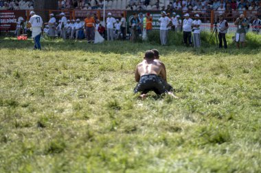 EDIRNE, TURKEY - JULY 14, 2018 : Middle weight wrestlers battle for victory at the Kirkpinar Turkish Oil Wrestling Festival in Turkey clipart