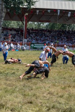 EDIRNE, TURKEY - 14 Temmuz 2018: Türkiye 'de Kırkpınar Türk Yağlı Güreş Festivali' nde orta sıklet güreşçileri zafer için mücadele ediyor