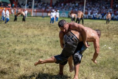 EDIRNE, TURKEY - 14 Temmuz 2018: Türkiye 'de Kırkpınar Türk Yağlı Güreş Festivali' nde orta sıklet güreşçileri zafer için mücadele ediyor