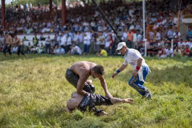 EDIRNE, TURKEY - 14 Temmuz 2018: Türkiye 'de Kırkpınar Türk Yağlı Güreş Festivali' nde orta sıklet güreşçileri zafer için mücadele ediyor