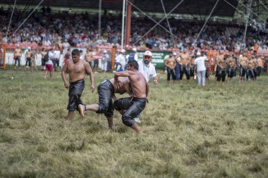 EDIRNE, TURKEY - 14 Temmuz 2018: Türkiye 'de Kırkpınar Türk Yağlı Güreş Festivali' nde orta sıklet güreşçileri zafer için mücadele ediyor