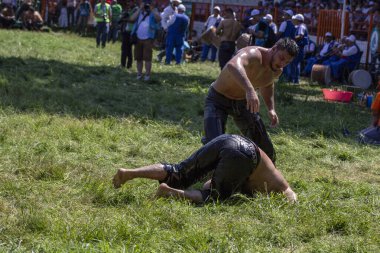 EDIRNE, TURKEY - 14 Temmuz 2018: Türkiye 'de düzenlenen Kırkpınar Türk Yağlı Güreş Festivali' nde orta sıklet güreşçiler zafer için mücadele ediyor. Güreşçi Türkçe demek Pehlivan veya Guresci demek.