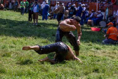 EDIRNE, TURKEY - 14 Temmuz 2018: Türkiye 'de düzenlenen Kırkpınar Türk Yağlı Güreş Festivali' nde orta sıklet güreşçiler zafer için mücadele ediyor. Güreşçi Türkçe demek Pehlivan veya Guresci demek.