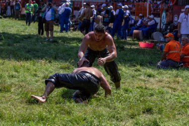 EDIRNE, TURKEY - 14 Temmuz 2018: Türkiye 'de düzenlenen Kırkpınar Türk Yağlı Güreş Festivali' nde orta sıklet güreşçiler zafer için mücadele ediyor. Güreşçi Türkçe demek Pehlivan veya Guresci demek.