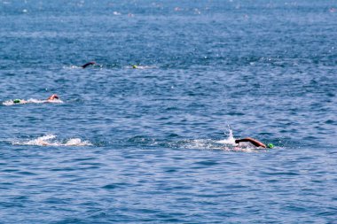 İSTANBUL, TURKEY - 23 Temmuz 2017: İstanbul 'daki Boğaz' da kıtalararası yüzme yarışı sırasında çok sayıda insan yüzüyor