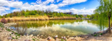 Yeşil ağaçlar ve bitkilerle dolu yaz parkında göl