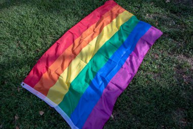 Çimlerin üzerindeki gay gurur bayrağı dokusu