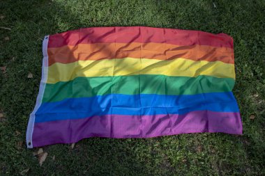 Çimlerin üzerindeki gay gurur bayrağı dokusu