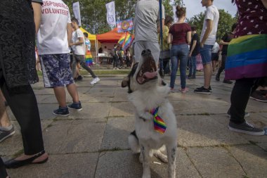 SOFYA, BULGGARIA - 8 Haziran 2019: İnsanlar LGBT Sofya 'nın eşitlik ve LGBT toplumuna ayrımcılık yapılmaması konulu yıllık LGBT gurur geçidine katıldılar.