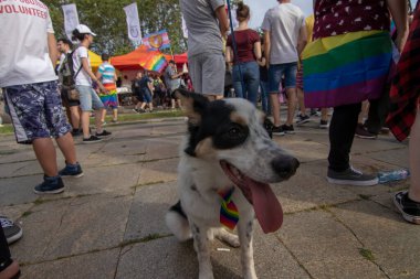 SOFYA, BULGGARIA - 8 Haziran 2019: İnsanlar LGBT Sofya 'nın eşitlik ve LGBT toplumuna ayrımcılık yapılmaması konulu yıllık LGBT gurur geçidine katıldılar.