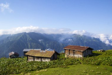 Pokut Platosu Rize Camlihemsin Türkiye. Güzel manzara sisli ve bulutlu. Karadeniz 'den Kackar Dağları.
