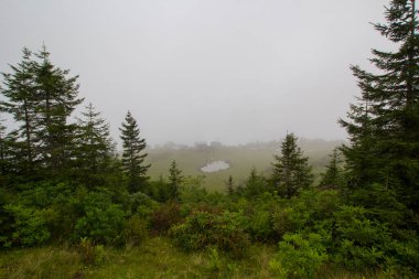 foggy view of lake in Kackar mountains, Badara plateau Rize, Blacksea, Turkey clipart