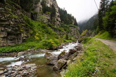 Stones in a stream with water blurred by long exposure
