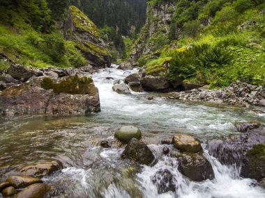 Stones in a stream with water blurred by long exposure