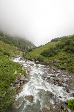 Stones in a stream with water blurred by long exposure