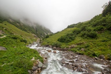 Stones in a stream with water blurred by long exposure