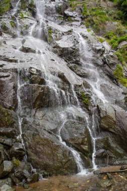 Türkiye 'nin Trabzon kenti yakınlarındaki dağlarda güzel doğa manzarası