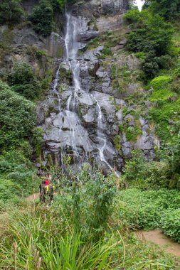 Türkiye 'nin Trabzon kenti yakınlarındaki dağlarda güzel doğa manzarası