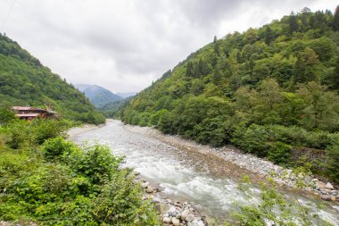 Türkiye 'nin Trabzon kenti yakınlarındaki dağlarda güzel doğa manzarası