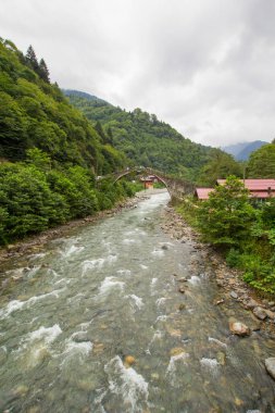 RIZE, TURKEY - 7 AUG 2018: Senyuva 'daki tarihi Osmanlı köprüsü Taskopru, Ermenistan' daki Cinciva, Türkiye 'nin doğusundaki Kamlihemsin yakınlarındaki Firtina nehri üzerindeki